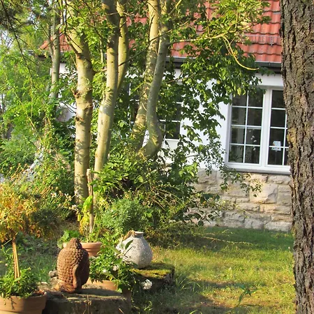 Alte Schule Altefeld