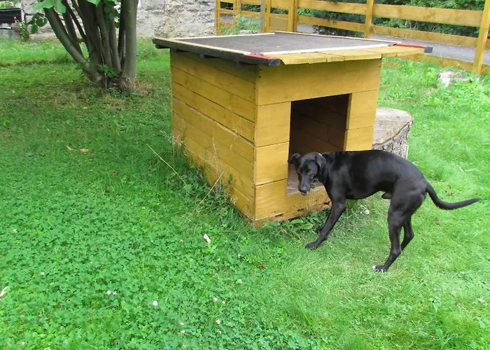 Alte Schule Altefeld *